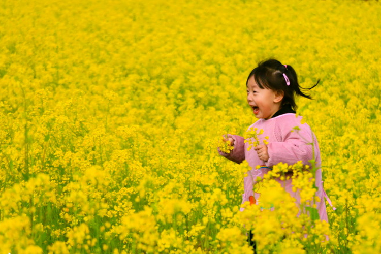 春暖花開(kāi)